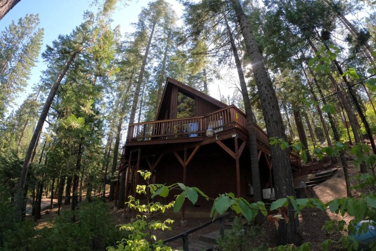 Long Barn Beautiful Cabingated Parkpinecrest & Dodge Ridge 빌라 외부 사진